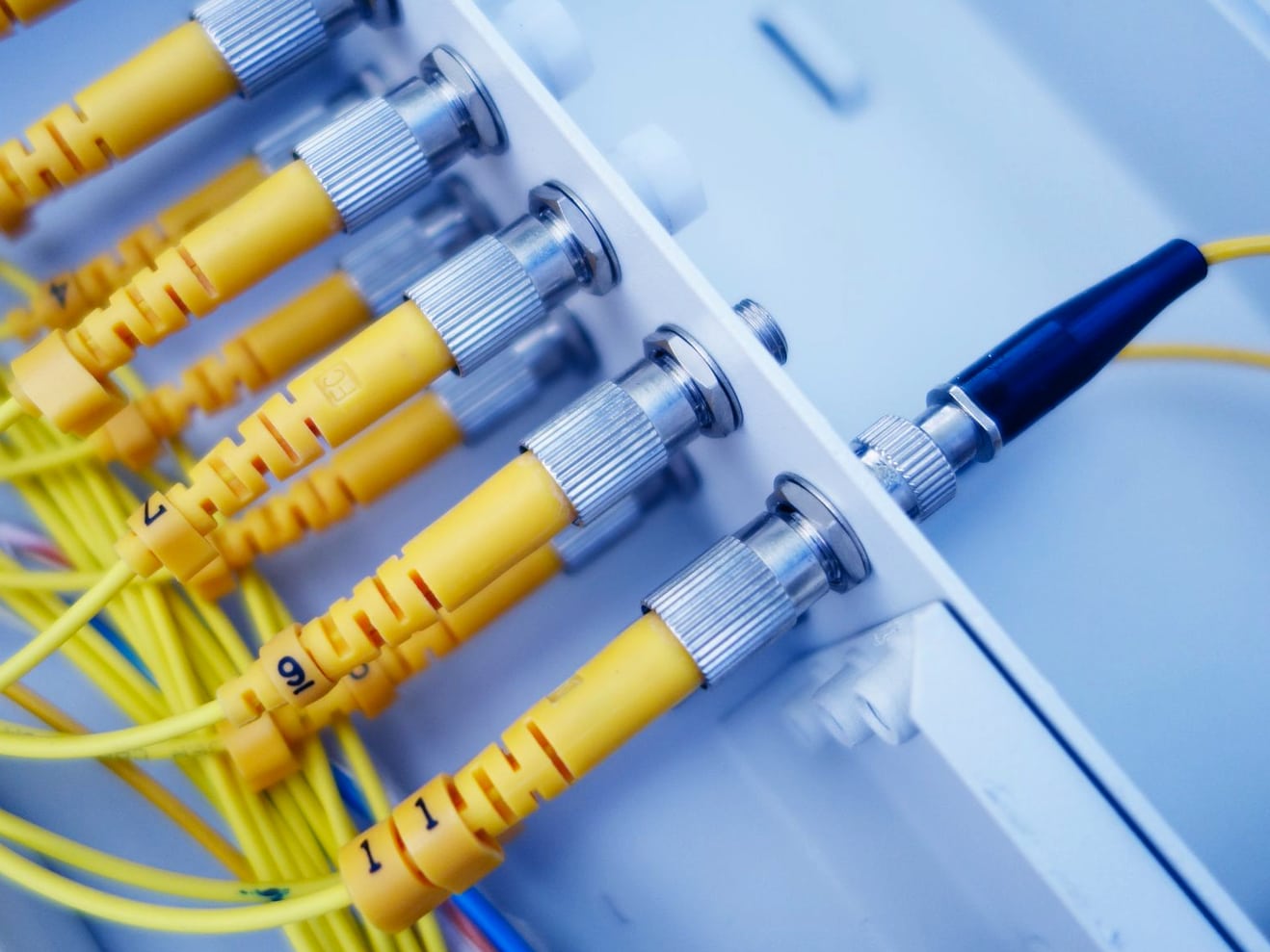 Fiber optic network cabling connecting hosting infrastructure